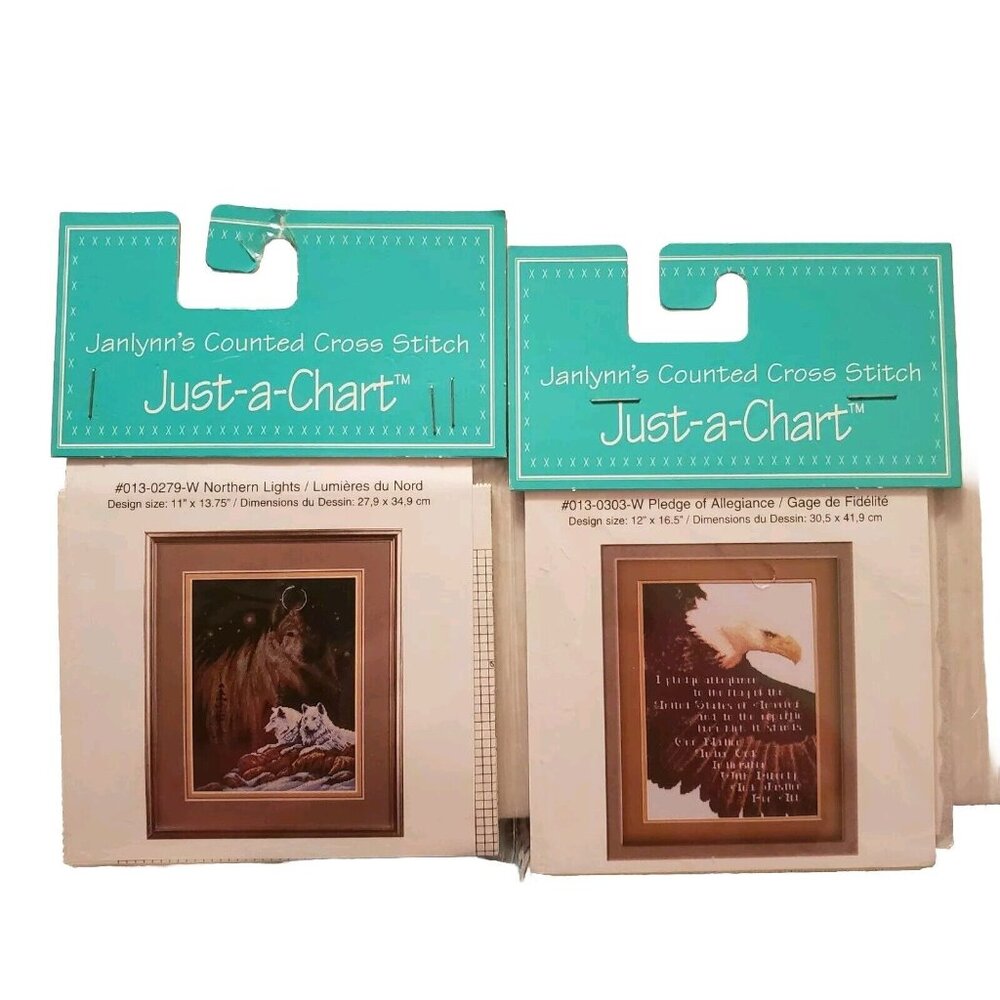 Just-a-Chart Pledge of Allegiance Northern Lights Jaylynns cross stitch 013-0303